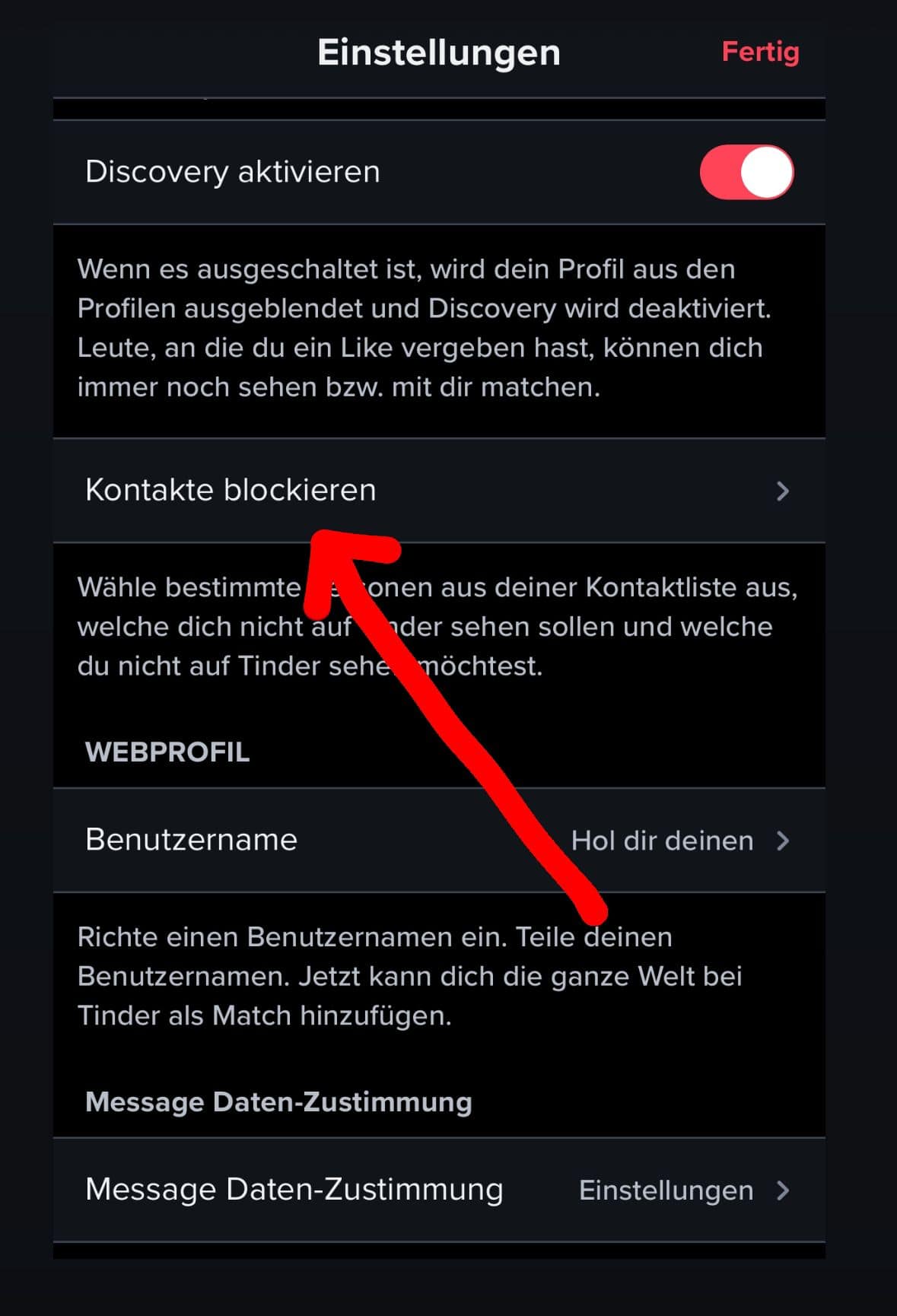So blockierst du jemanden auf Tinder ohne Match