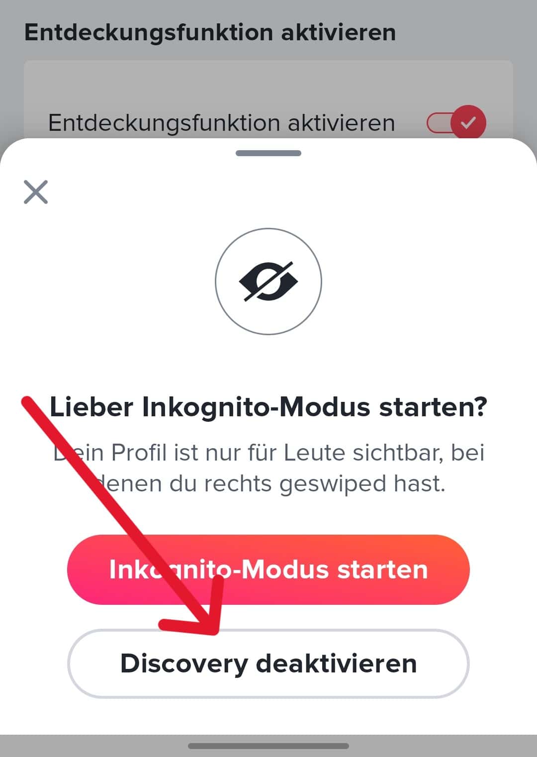 So gehst du vor, wenn du deine Sichtbarkeit kontrollieren willst und die Discovery Funktion deaktivieren willst